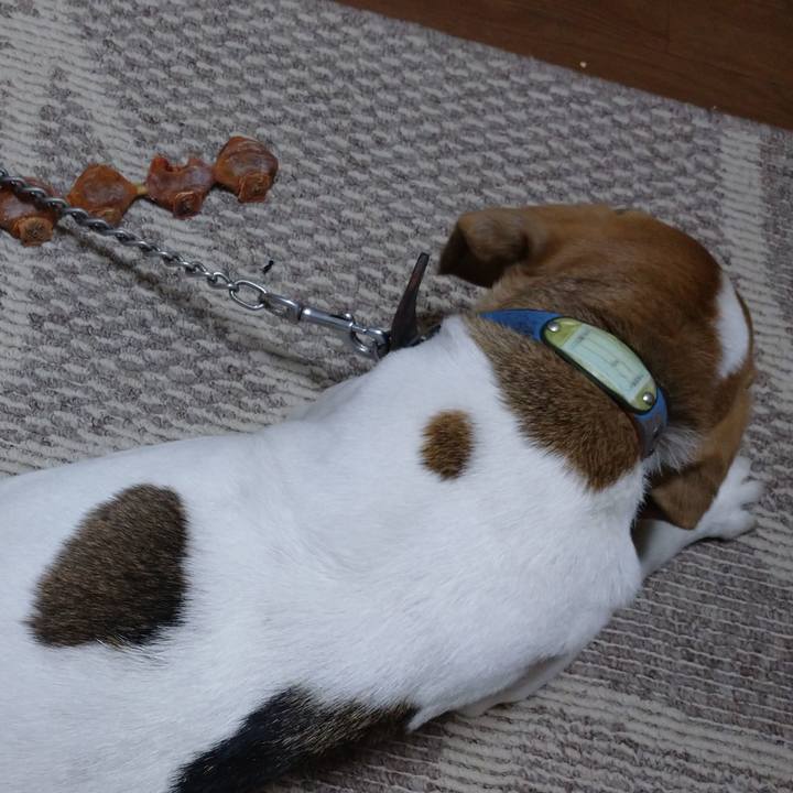 Fca81187 a30a 43b1 ac14 faf19737992e 1610180783298