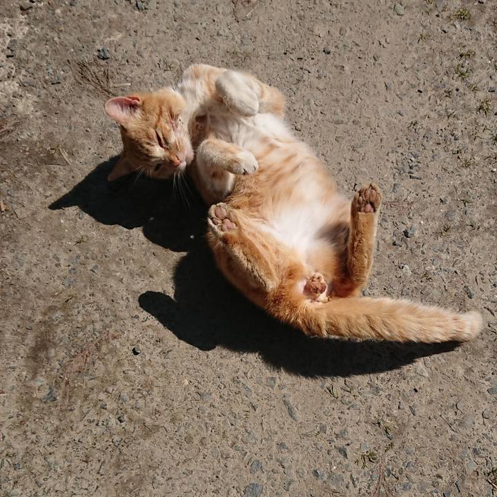 Fca83afb 28c0 47c6 85db f25fefc59af9 1555129130310