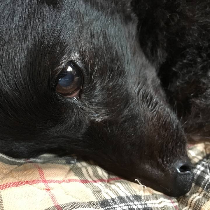 Fca85631 d2cb 4be2 aceb 8ad66f448bca 1538003371101