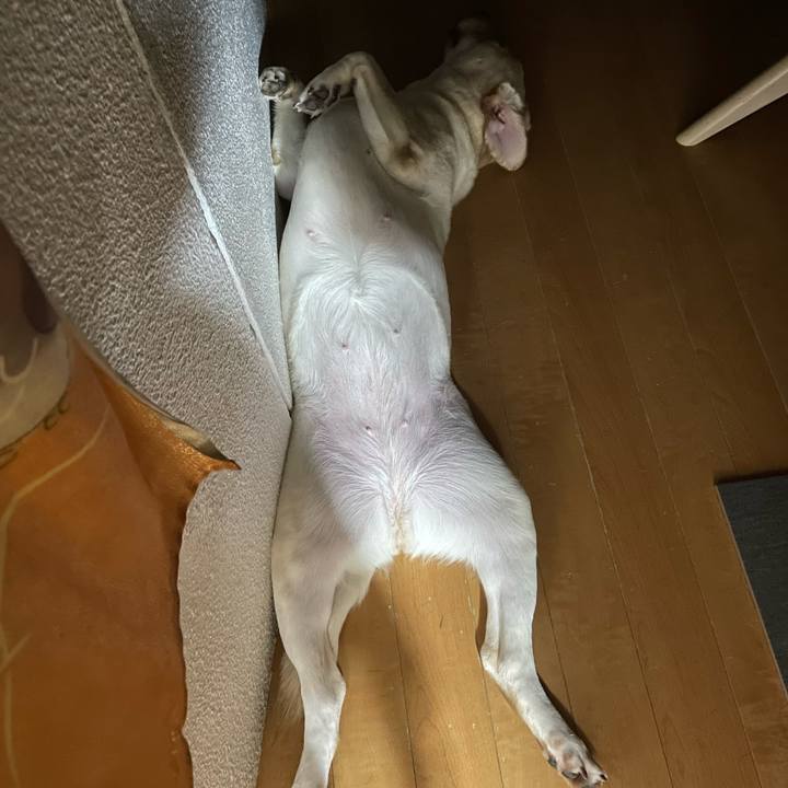 Fca86b1f 0170 4997 9c74 598ddaf50637 1695943161834