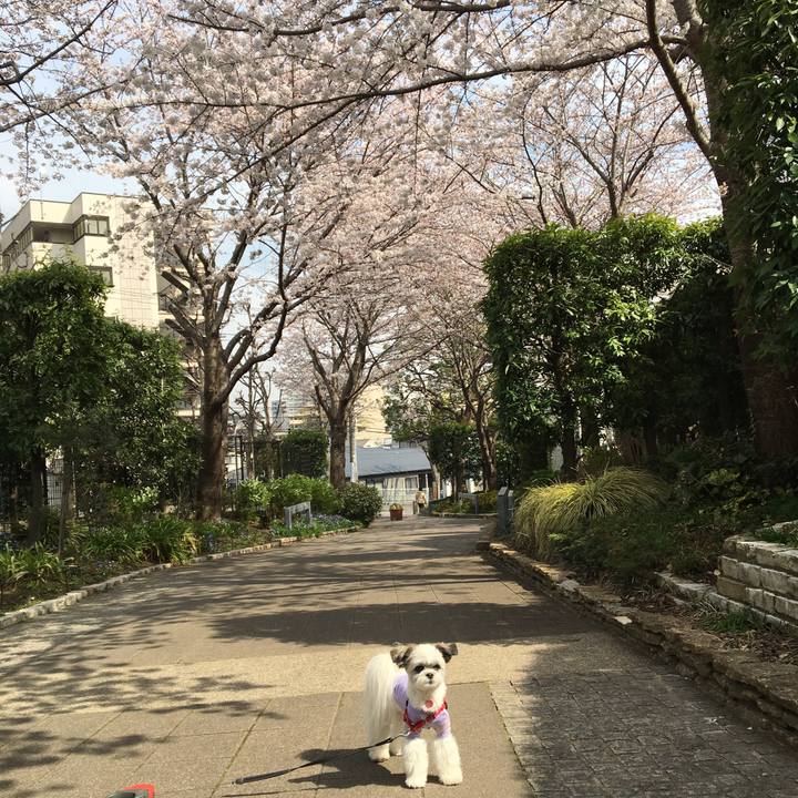 Fca87338 ecc6 4e49 8783 78b0b060cba7 1522107169685