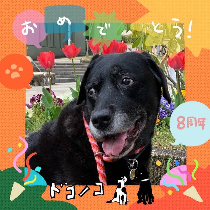 Fca8768f 8365 4830 ad91 b8f957f8ffb8 1717587681973