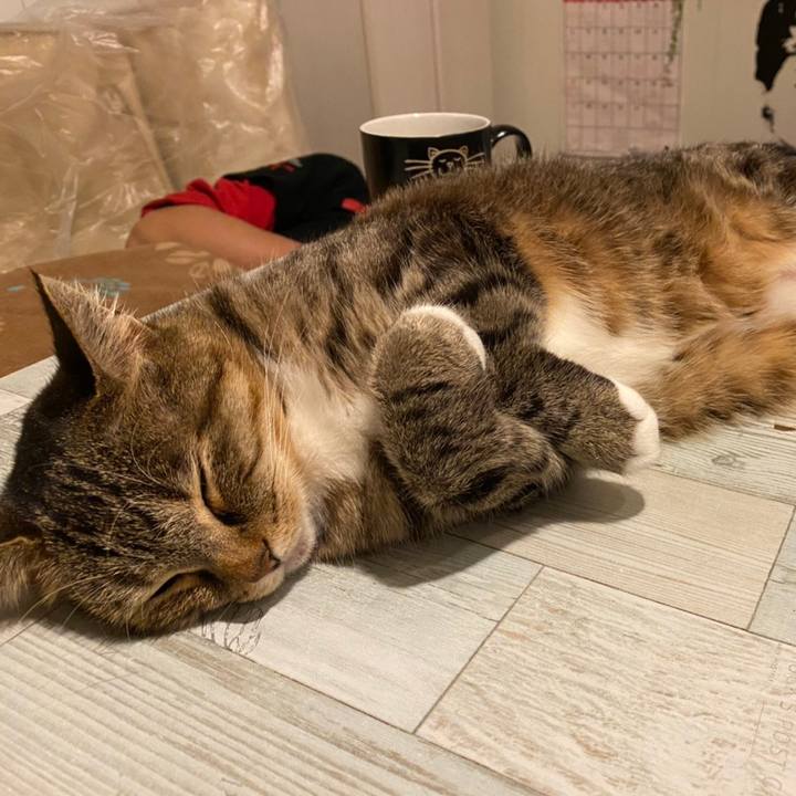 Fca88990 dbd9 4199 a263 2ea8aa7ff7d0 1607698492591