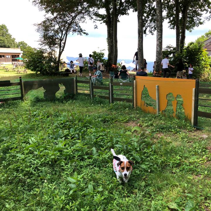 Fca8e2c7 0842 4d00 bafb 92d5de24c0aa 1565346979968