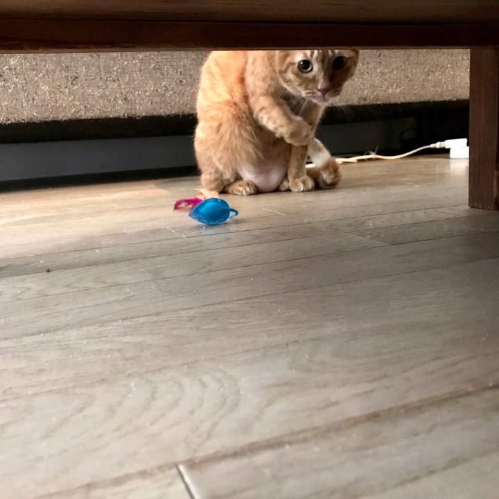 Fca8ef70 f2bd 4864 a042 dd9d1f3ded1b 1584762430842