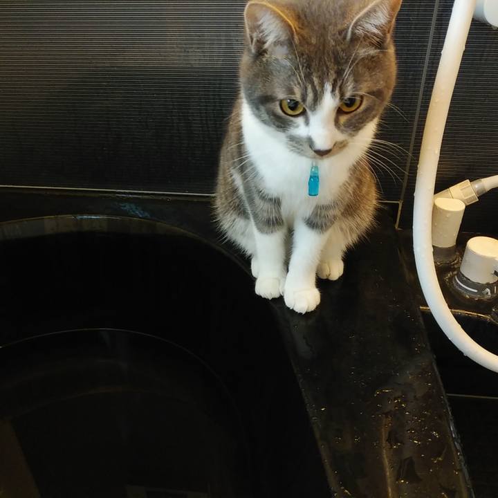 Fca97831 9b09 4bb6 92b5 9b7f8dc07cdb 1577660500509