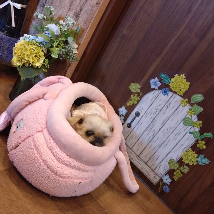 Fca98dfb e337 4134 9aec 46da8e759c25 1747207097493