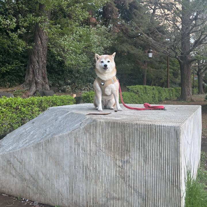 Fca9d3cc 3e76 4622 8446 5e5f2febef10 1744663641176