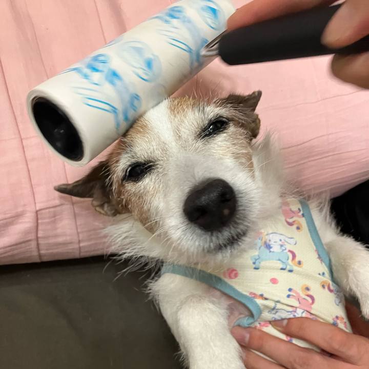 Fcaa02bc 02d5 404a be9e bfd50cbe9a72 1687908305176