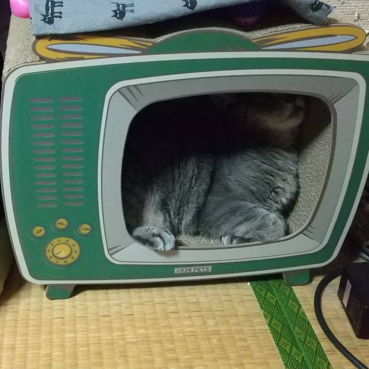 Fcaa27ea f199 4e26 9660 47ba4b419b23 1628075270589