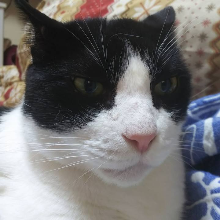 Fcaa2b26 2d0c 4afc 8f1a 781685e5d756 1566610379729