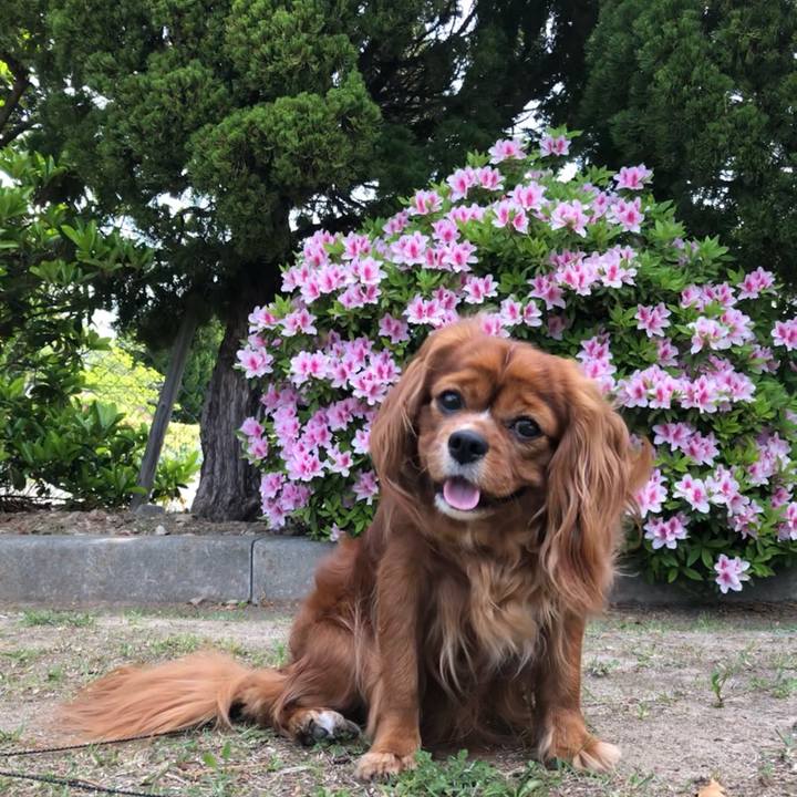 Fcaa3e31 5d28 454e be27 3231ee147be0 1619310516354