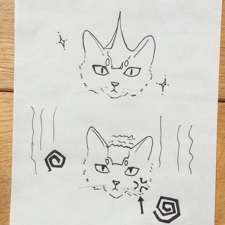 Fcaa5b00 6d6c 476e 9812 5881ee845de6 1587604499180