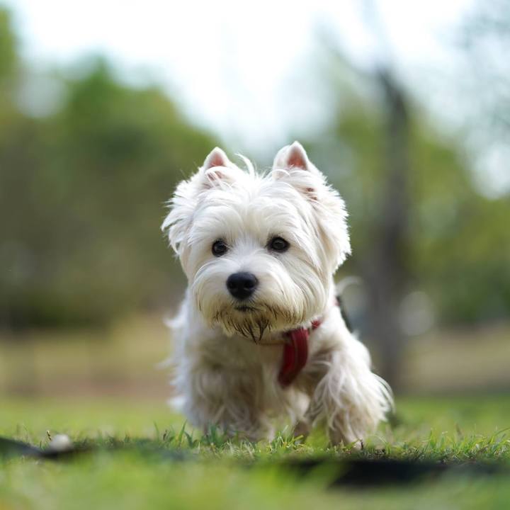 Fcaa6985 3f9d 4d33 b162 dbda43d9ff3e 1523673907837