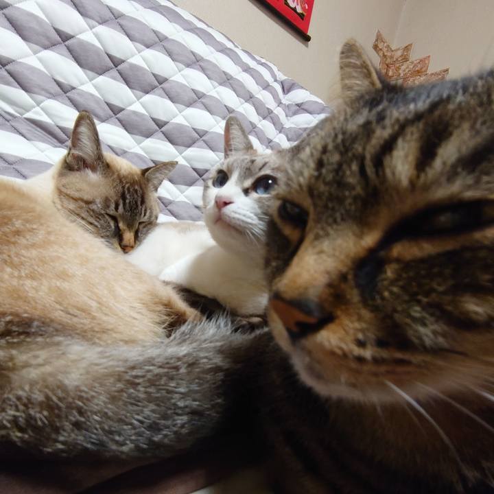 Fcaa865e 0872 4b45 9948 076732227ce6 1634727359677