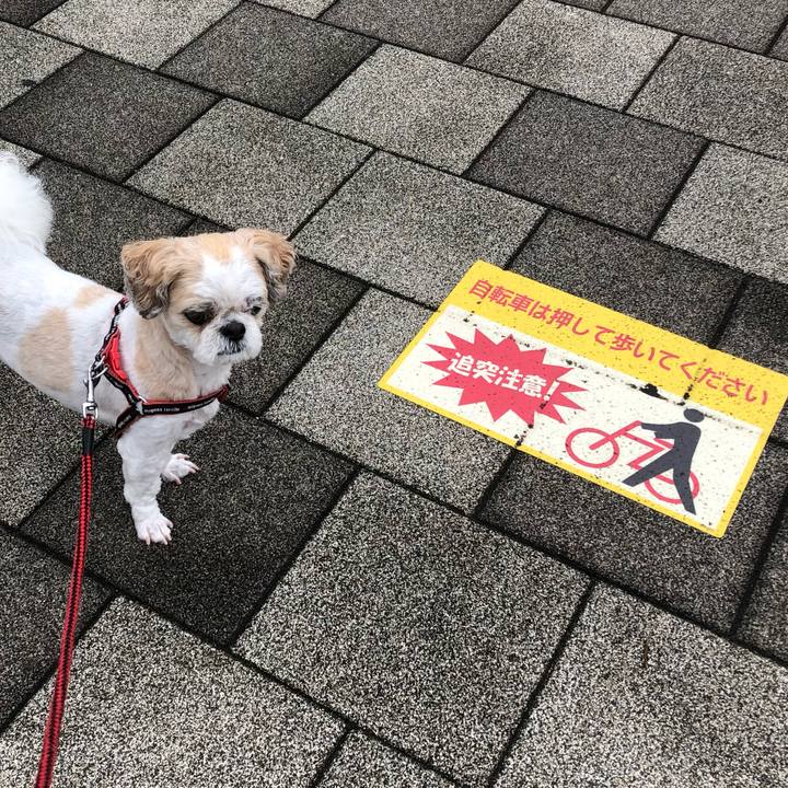 Fcaaef23 c90d 4496 a198 3fabaafa8b10 1592948793659