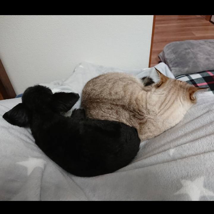 Fcab8cc2 0f8e 4d63 98d2 381b8b1795f6 1541604860764