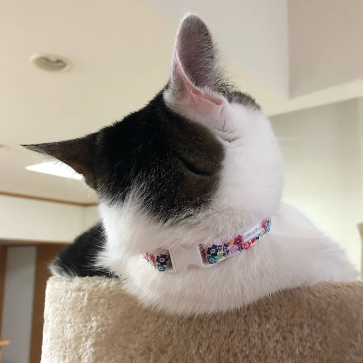 Fcab9ae2 723f 4e29 be16 74e088ec97f7 1592571551177