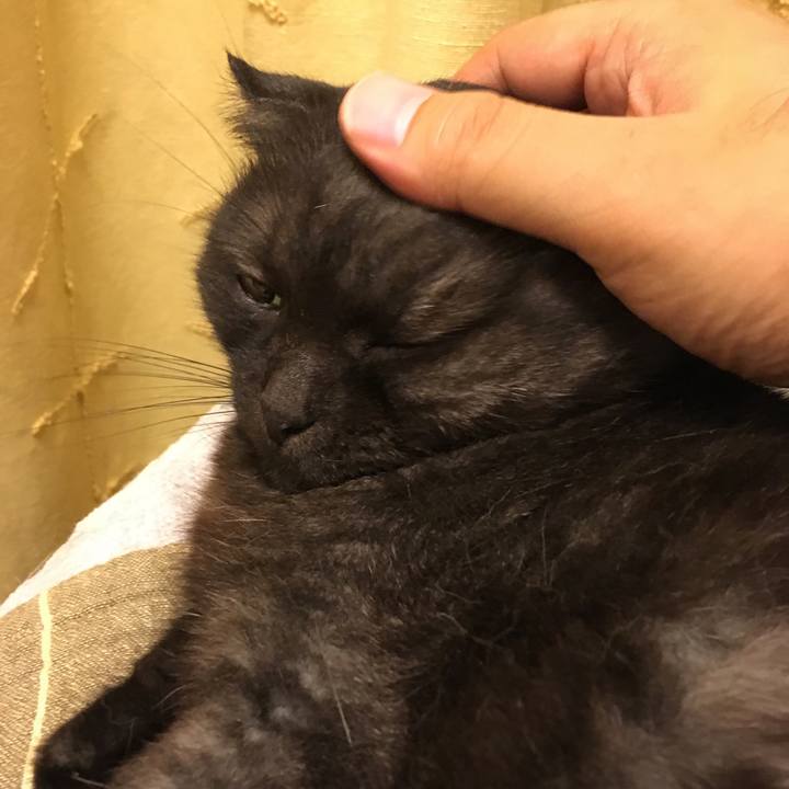 Fcabb811 50fd 41e9 aee3 0ba6d2322fed 1533043240122