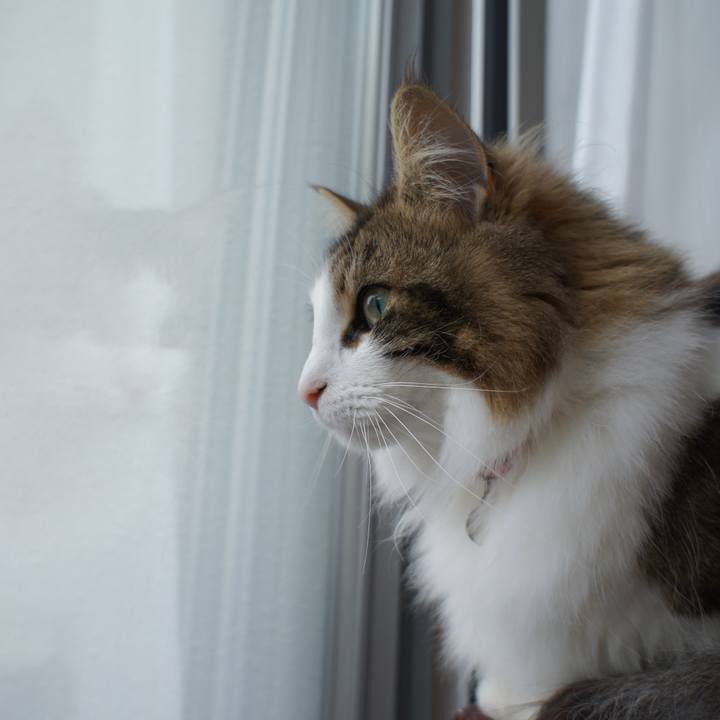 Fcabea15 6851 4425 a2cf a8e80ba4aa62 1522020327723