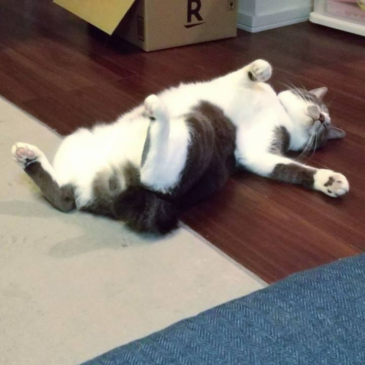 Fcabf2dd 1321 4dbe 8503 0ce267c0051b 1634384750810