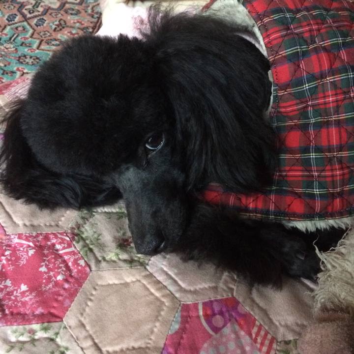 Fcac3392 1a72 449d 91a7 6dfd6a77b426 1515999413699