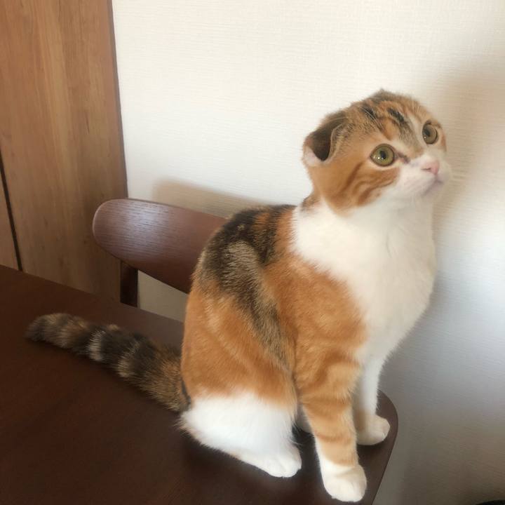 Fcac9af9 a1bd 43e8 a60d 4babddeb1552 1514886692526