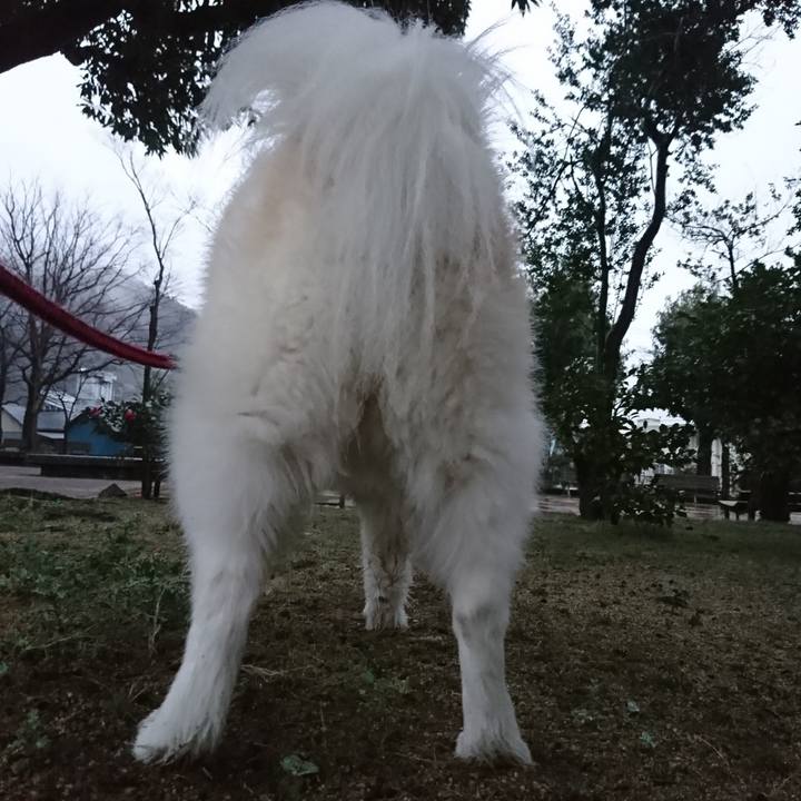 Fcaca1ca 0ad5 4e2f 88a7 afa96a266220 1521667652161