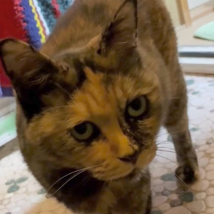 Fcacaf6f 8f0c 4efd 8f4b 8bb3fd7eeaaa 1760300642408