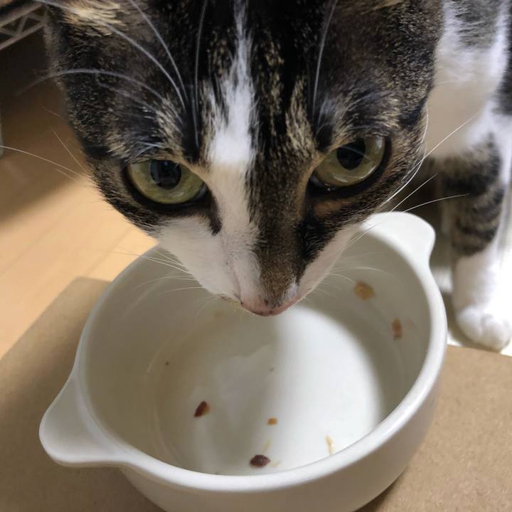 Fcacb2ed 47a0 4e9c 98ad b9a27f68f0bd 1565988619614