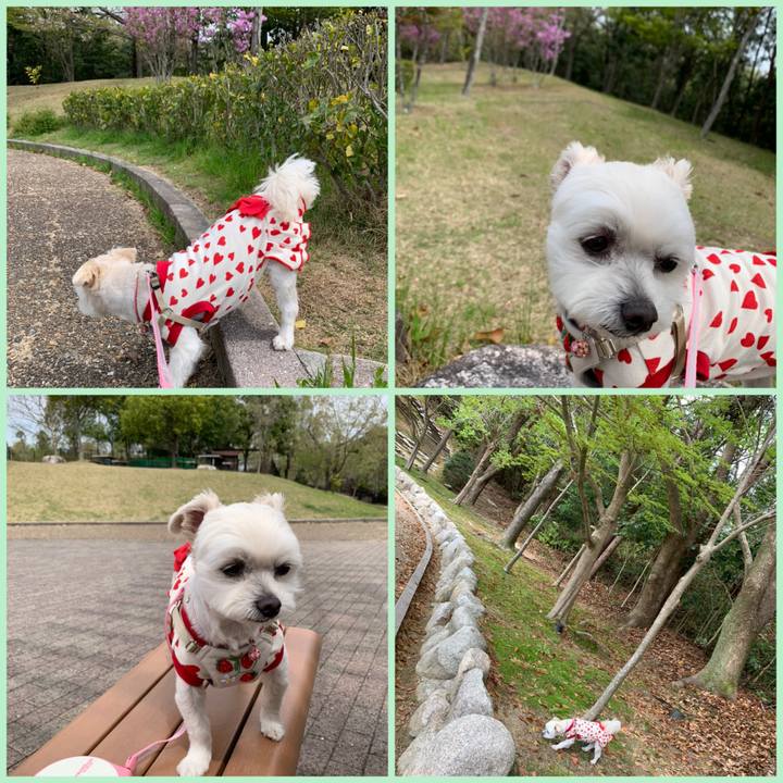 Fcacb4d1 d877 4cd6 8380 b468ebbacb18 1617860536949