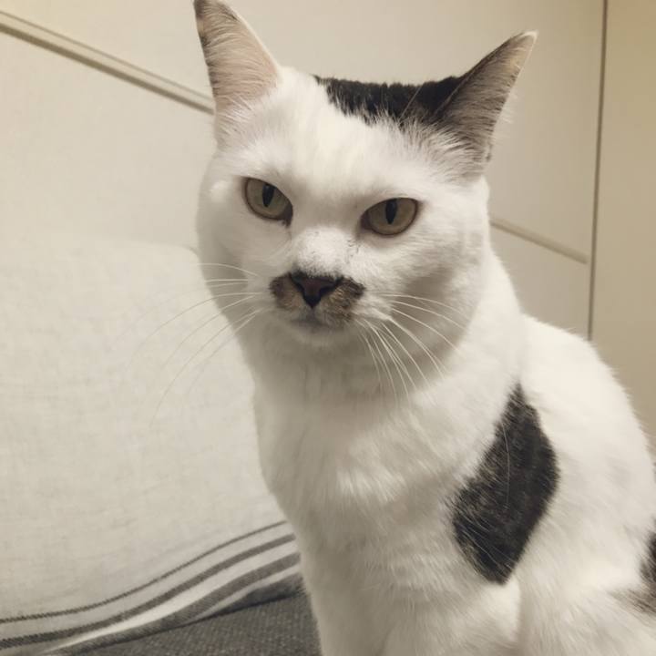 Fcacb547 ab64 46df 8e69 8b7e7dc06fae 1544233706431