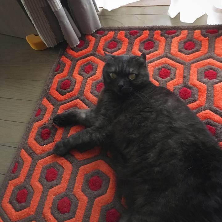 Fcad15b9 10b4 4c95 9bfb bd7b015b018c 1561079136275