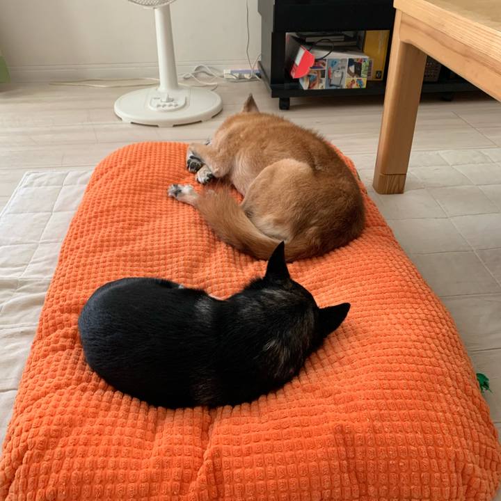 Fcad426a 82ed 4883 bbda 1064a3667650 1661842627333