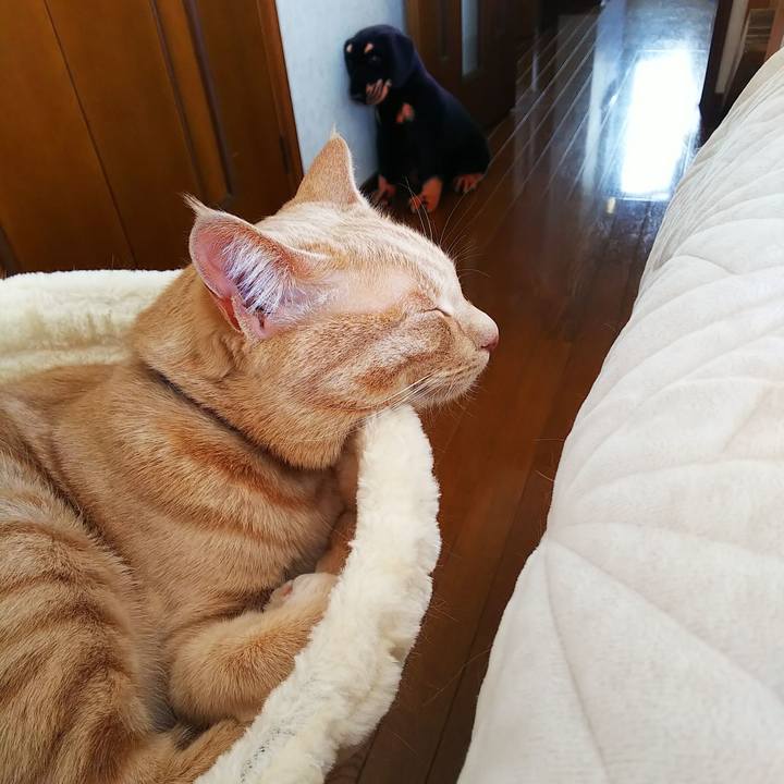 Fcad793a 79f4 4b24 9d8f d03cc2caf158 1588392854174