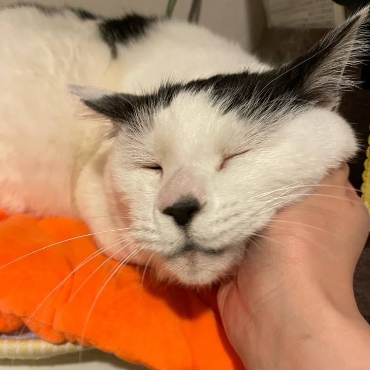 Fcada3af 7a45 4e4e afe1 0229d4ef59c4 1708558520826