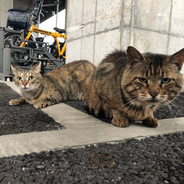 Fcadaa7e d9ad 45c5 9e97 7a991f8708c6 1563107614337