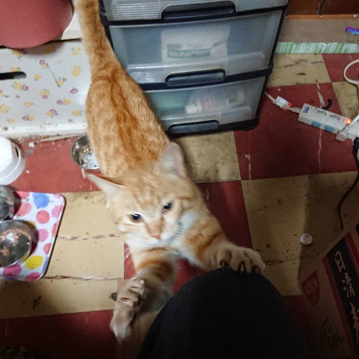 Fcadcb55 963a 4d03 ab88 27ca8b2d6f80 1556223088417