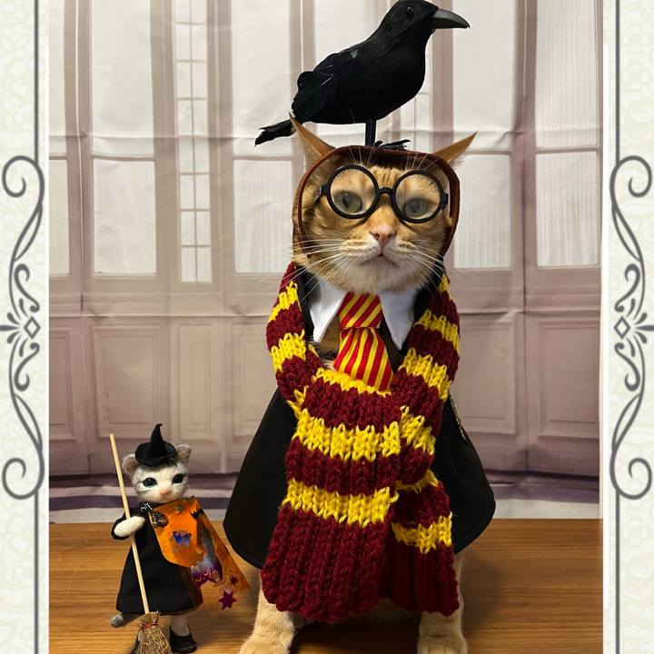 Fcadd99b 657c 4a78 8266 64e049384b50 1664878831625