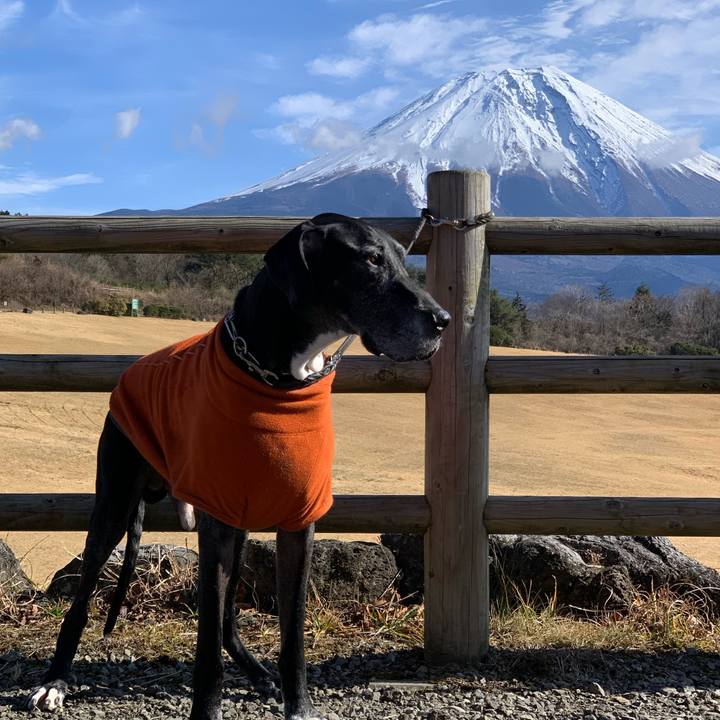 Fcaddaff 55cf 4cff 92a7 f3a8a0f72f9e 1578734013105