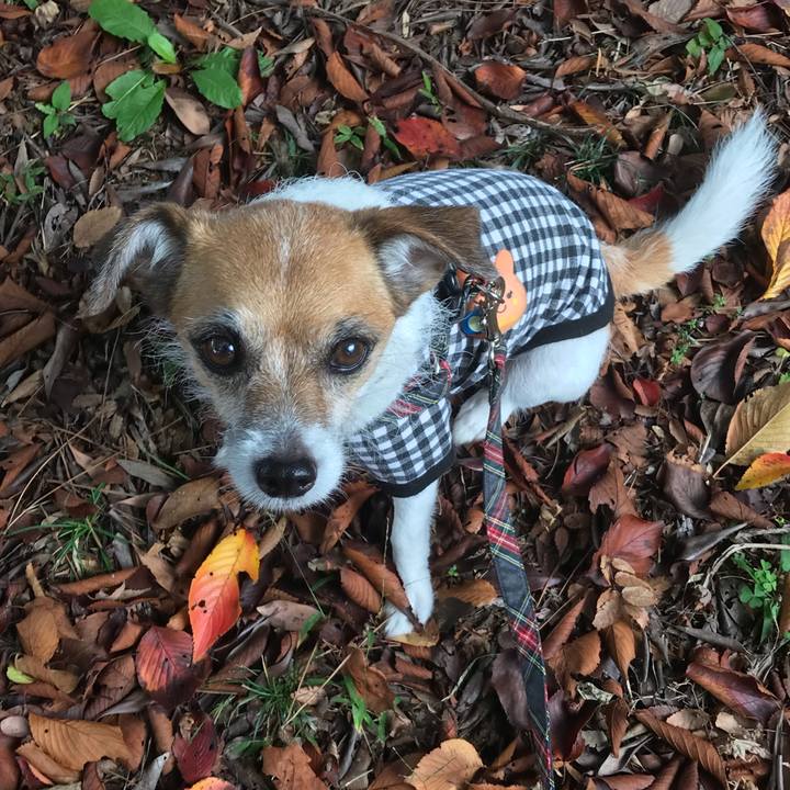 Fcae5f0f d221 41c4 83bd 77537a9c9c81 1541471982175