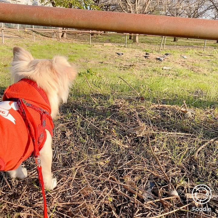 Fcae64e5 9343 4477 a555 dd88a31f3366 1607238812578