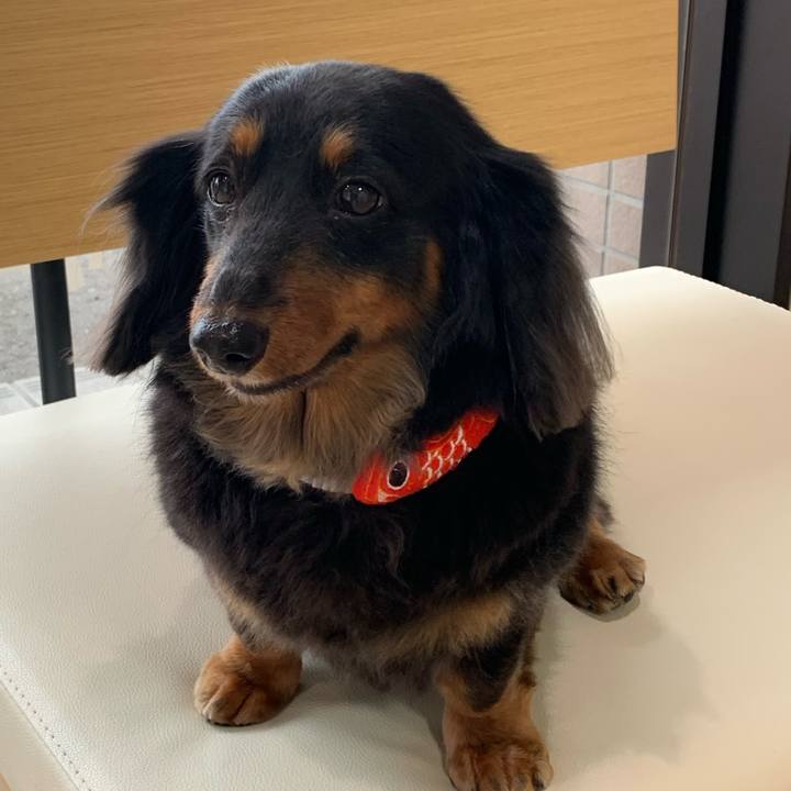 Fcae69ea 6a52 42b9 95a4 d6ee5a8b45f7 1713661227217