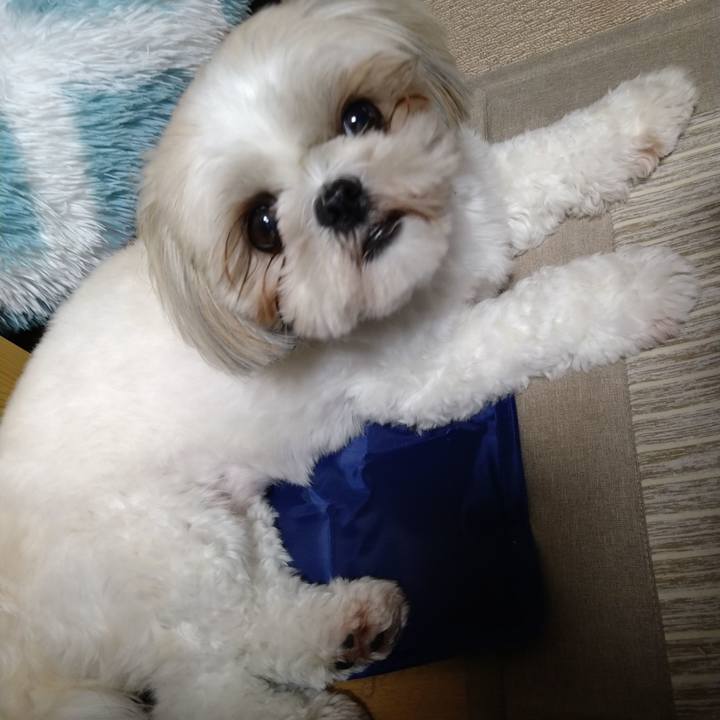 Fcae8154 49fa 4e8d acbb de5cb958bf67 1627094642310