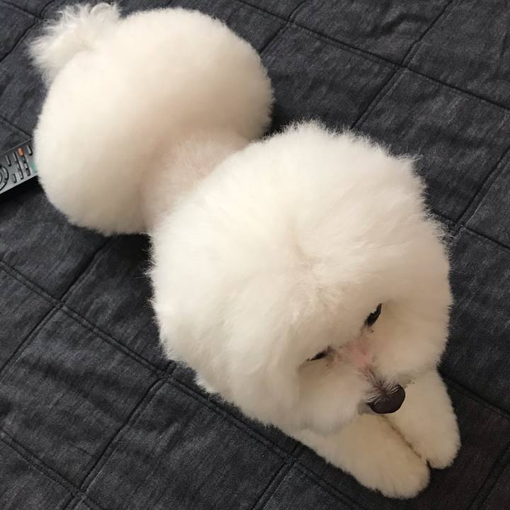 Fcaea6fb cfa3 4187 9a57 6b29f897225c 1591947331146