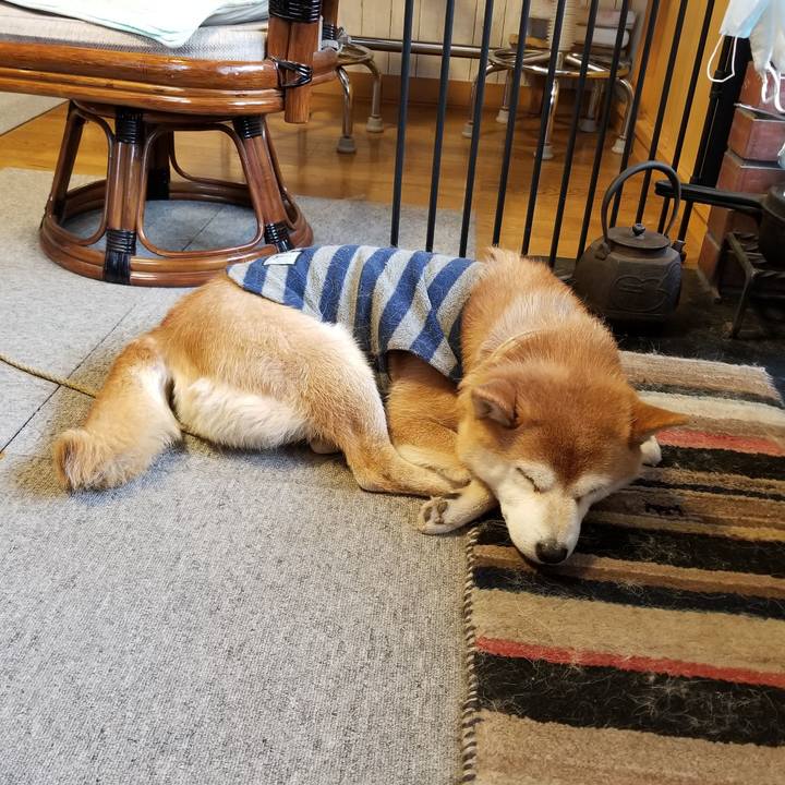 Fcaeadde ece8 49c6 b228 0869b3166f0e 1612651399798