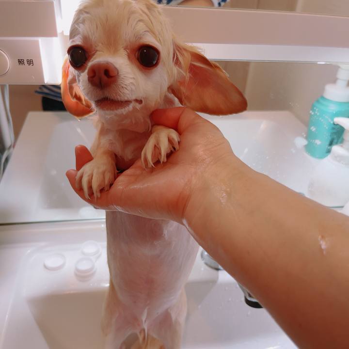 Fcaed4c5 8d56 4b13 b6cb d48c3c9b04c7 1757814441770