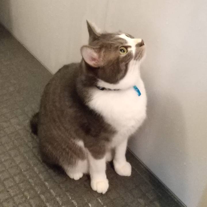 Fcaeee4b 5c90 4625 b77f ed1f8bca59f8 1609969426016