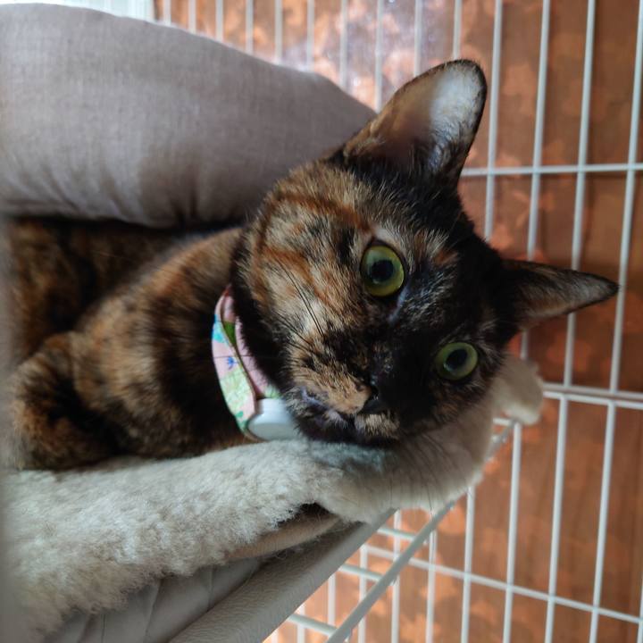 Fcaef2c4 44b3 47c7 9bce ecb1231e3533 1638193253413