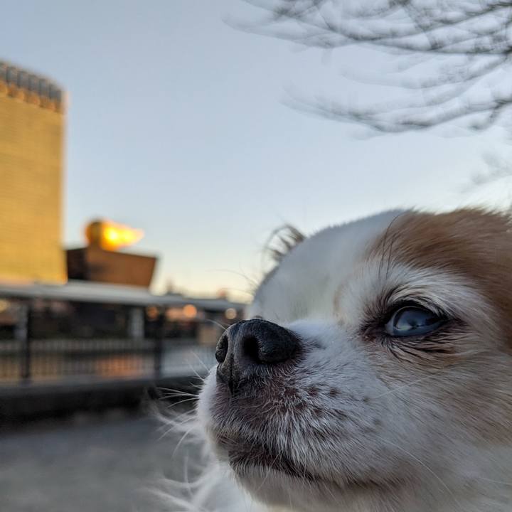 Fcaf13f8 030f 4376 be69 5fadea032a8c 1672127118132